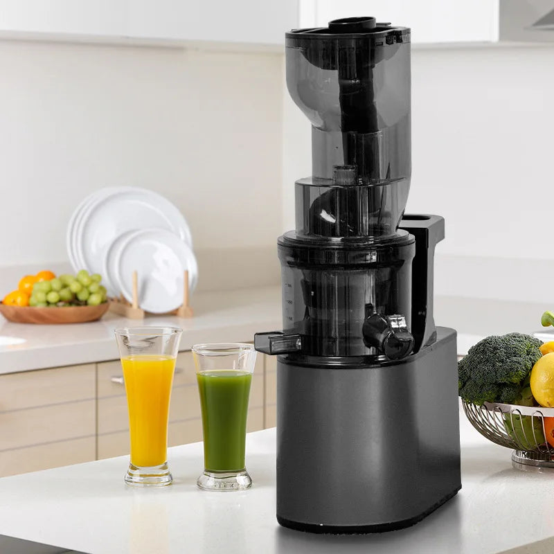 PurePress 2L Slow Juicer